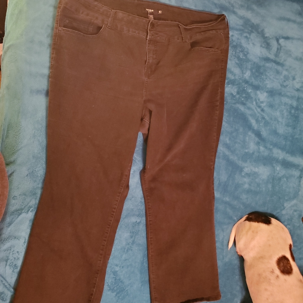 Torrid black boot cut jeans size 28